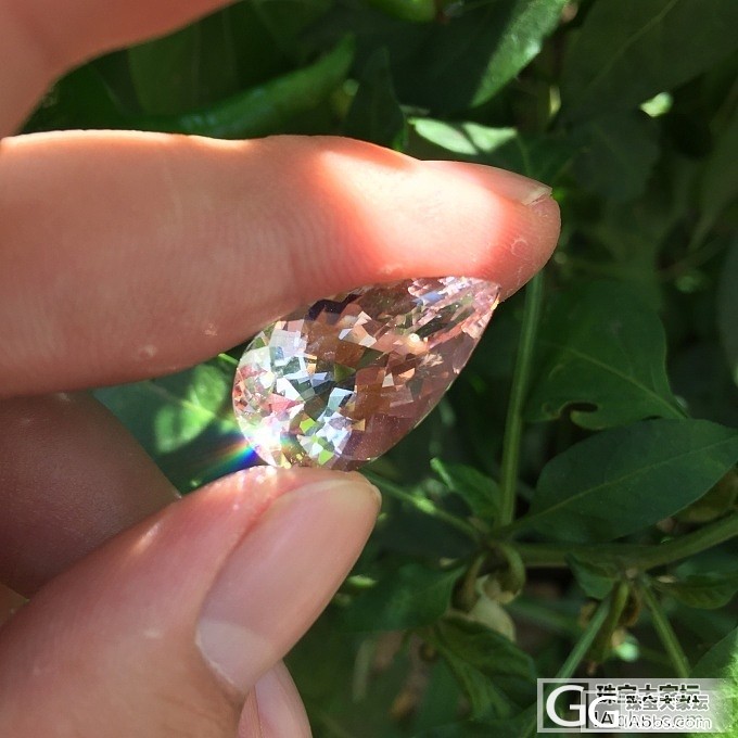 小菜园里拍的闪闪发亮的摩根，巴西切工_刻面宝石摩根石
