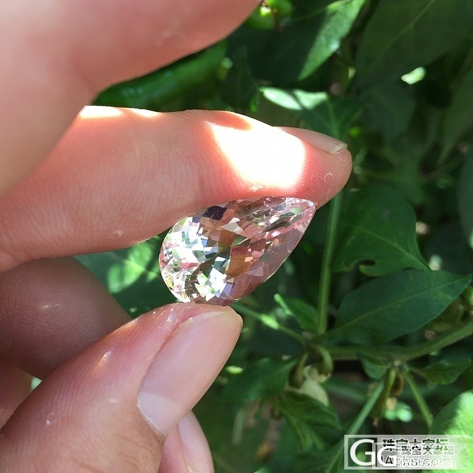 小菜园里拍的闪闪发亮的摩根，巴西切工_刻面宝石摩根石