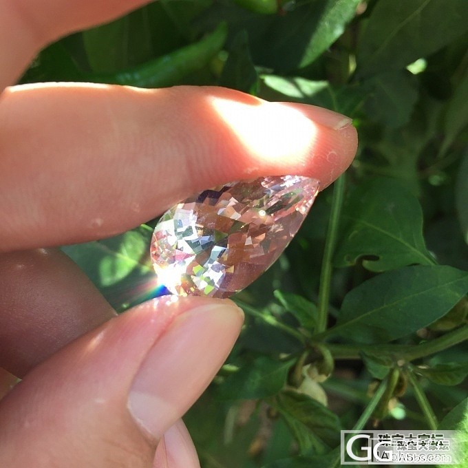 小菜园里拍的闪闪发亮的摩根，巴西切工_刻面宝石摩根石