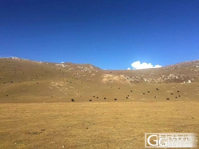 措普沟的风景_摄影