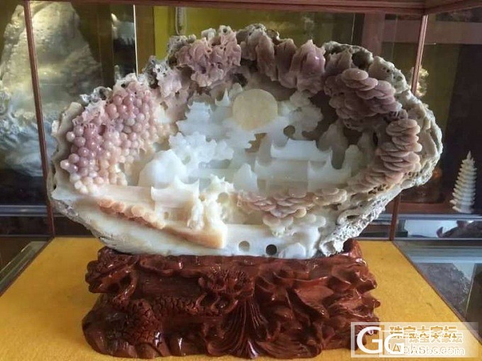 好看的砗磲哦_砗磲