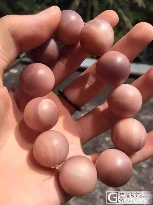 好看的砗磲哦_砗磲