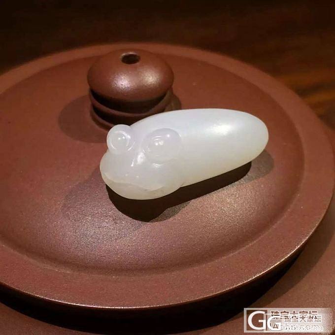 脂白和田籽料白玉金蟾_白玉