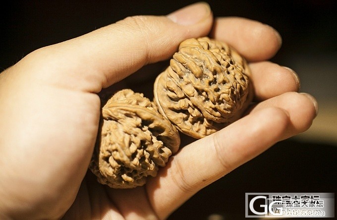 四座楼狮子头核桃练手玩_核桃
