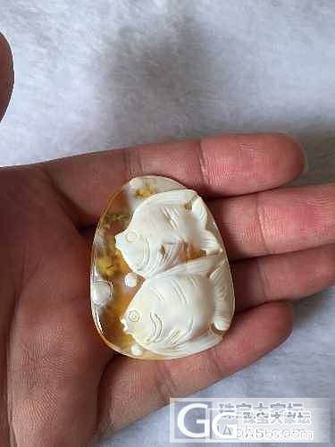 巧雕瓷白蜜双鱼，欣赏下_蜜蜡