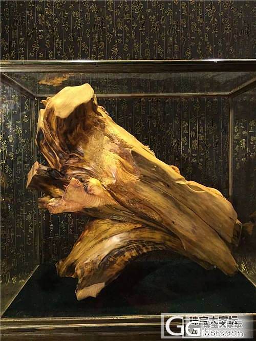 太行山崖柏三阳开泰摆件 老料高油性 大师力作，实料镂空设计完美_珠宝摆件崖柏