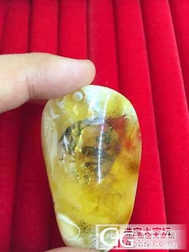 虫珀价格市场调查！有宝贝的发一下，带上克价，珀种，虫种，何时入手！谢谢大家！_琥珀