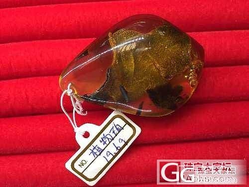 虫珀价格市场调查！有宝贝的发一下，带上克价，珀种，虫种，何时入手！谢谢大家！_琥珀