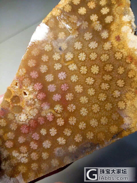 她呈现出大自然回馈给人类的千娇百媚、高贵典雅、剔透温润之美,_珊瑚玉