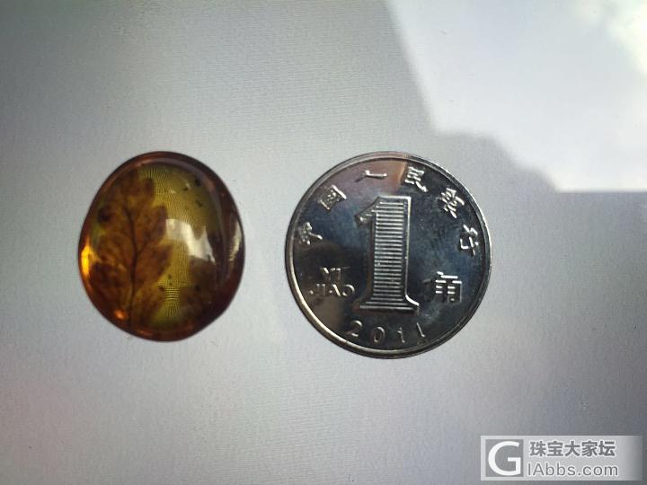 欣赏下两个精品的缅甸植物珀_琥珀植物珀