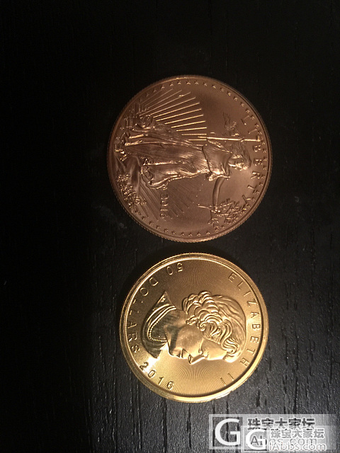 2枚金币_外国货币金