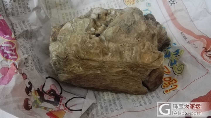 几年前捡到一块料，怀疑砗渠，欢迎大家品评_原石砗磲