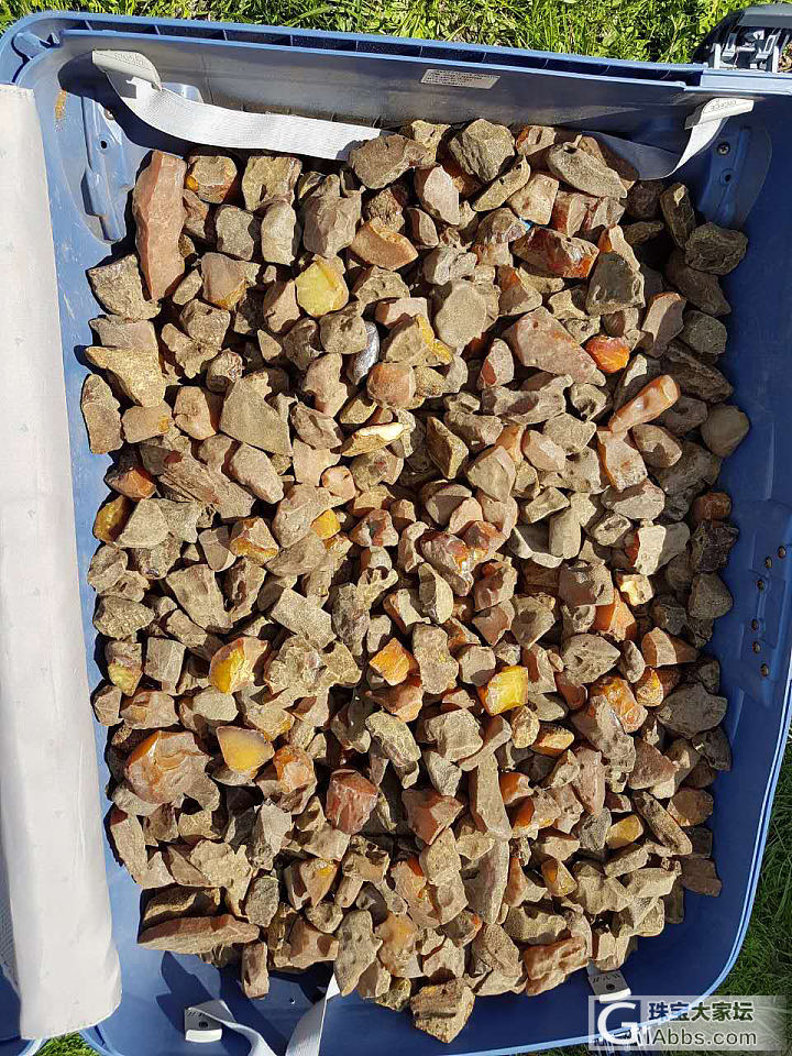 珠子一多就感觉像糖豆_蜜蜡