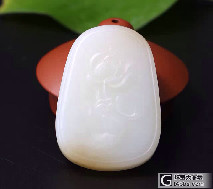 糖白荷花_白玉