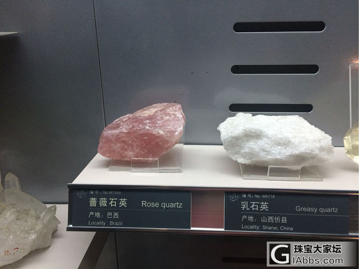 地质博物馆里的石头们_博物馆矿物标本