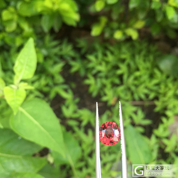 近期淘的货是越来越少，价是越来越贵。_刻面宝石尖晶石