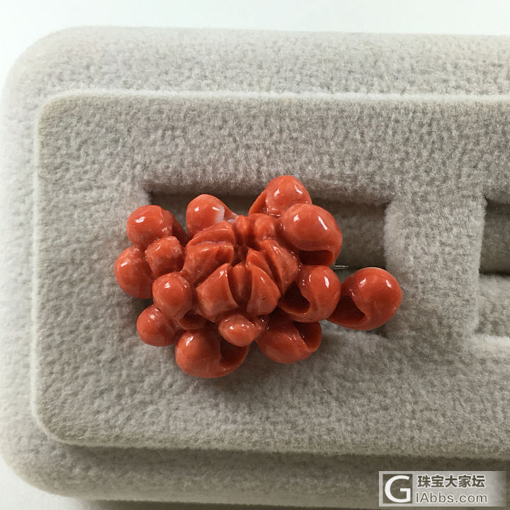 红珊瑚老momo胸针_胸饰珊瑚