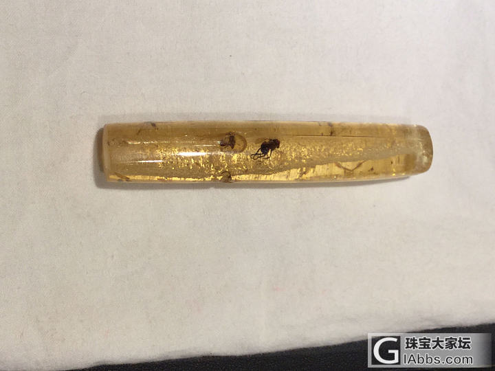 虫珀_虫珀