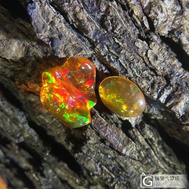 火欧泊欣赏~拍出好的火欧泊，可不容易哦！_欧泊