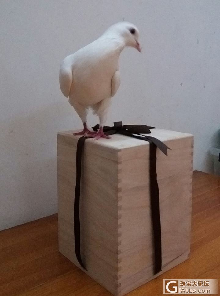 今天买了一手工银壶_银器银