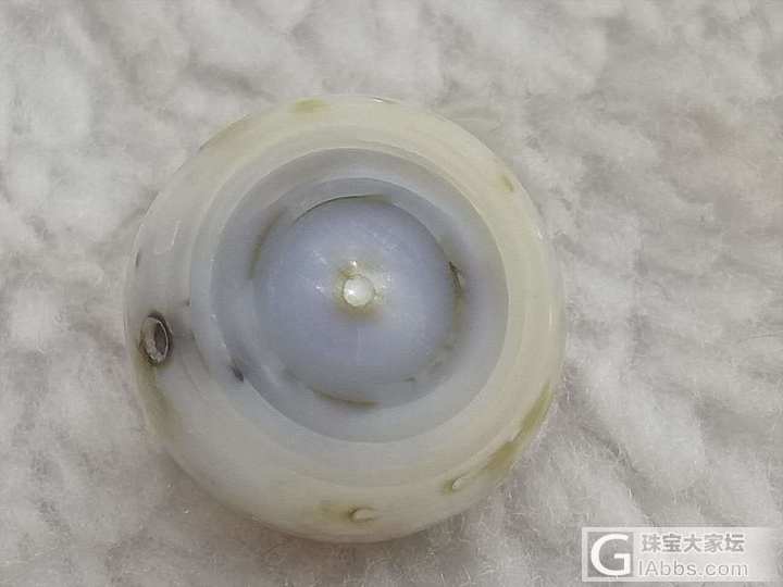 野生珍珠，有核养殖珍珠，无核养殖珍珠……一个一个切开你看看……。_珍珠