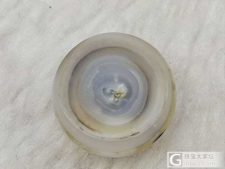 野生珍珠，有核养殖珍珠，无核养殖珍珠……一个一个切开你看看……。_珍珠