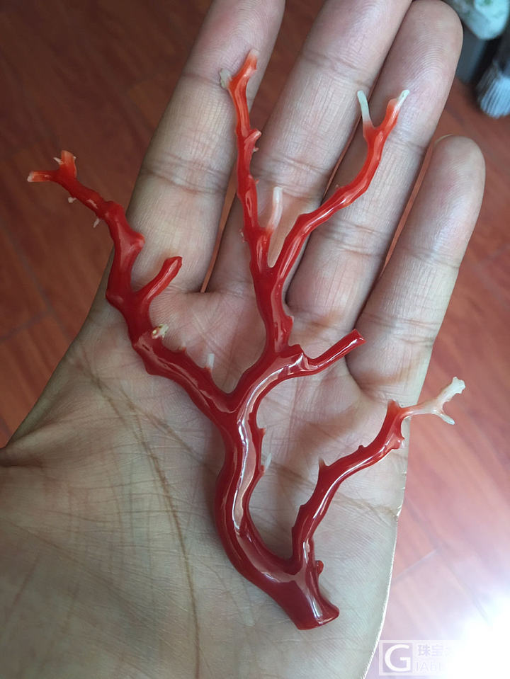 求助大家意见，这个珊瑚大杈做个什么好呢？_珊瑚