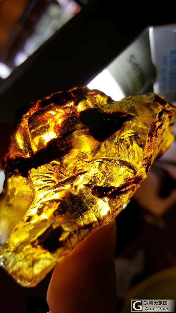 直播多米尼加开料，我朋友圈的人都看不懂，啧啧～_琥珀