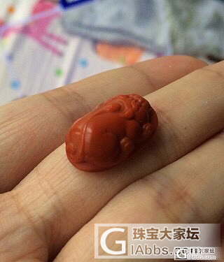 戒面貔貅镶嵌个含钱币的锁骨链如何_南红