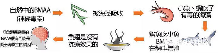 “潜友在Cocos潜水时候遇到的，她说她看见的时候在水下都哭了，我看到照片隔着屏..._闲聊