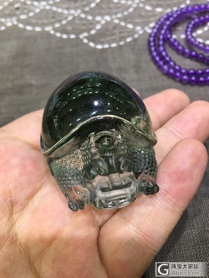 绿幽灵海龟_绿幽灵