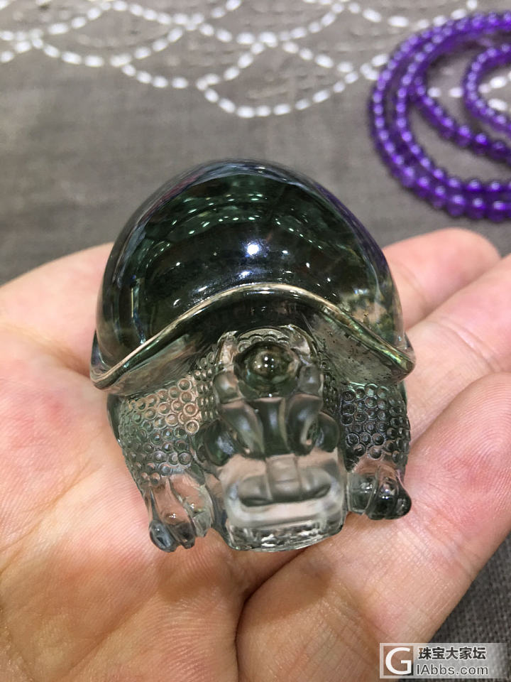 绿幽灵海龟_绿幽灵