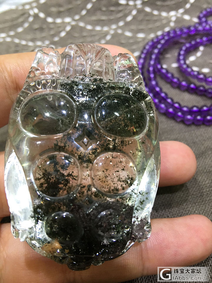 绿幽灵海龟_绿幽灵