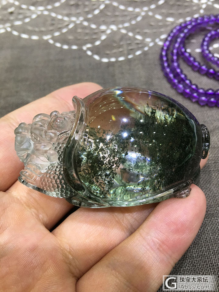 绿幽灵海龟_绿幽灵