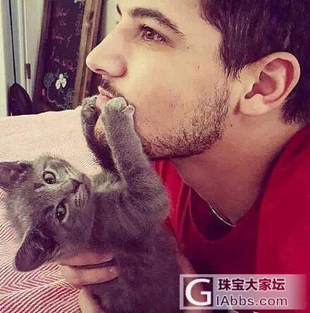 喵呜+帅哥，红衣服我!_猫