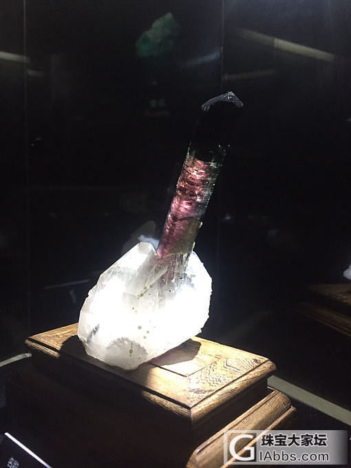 直播！带你们参观最大的水晶博物馆，感受水晶的魅力_博物馆水晶