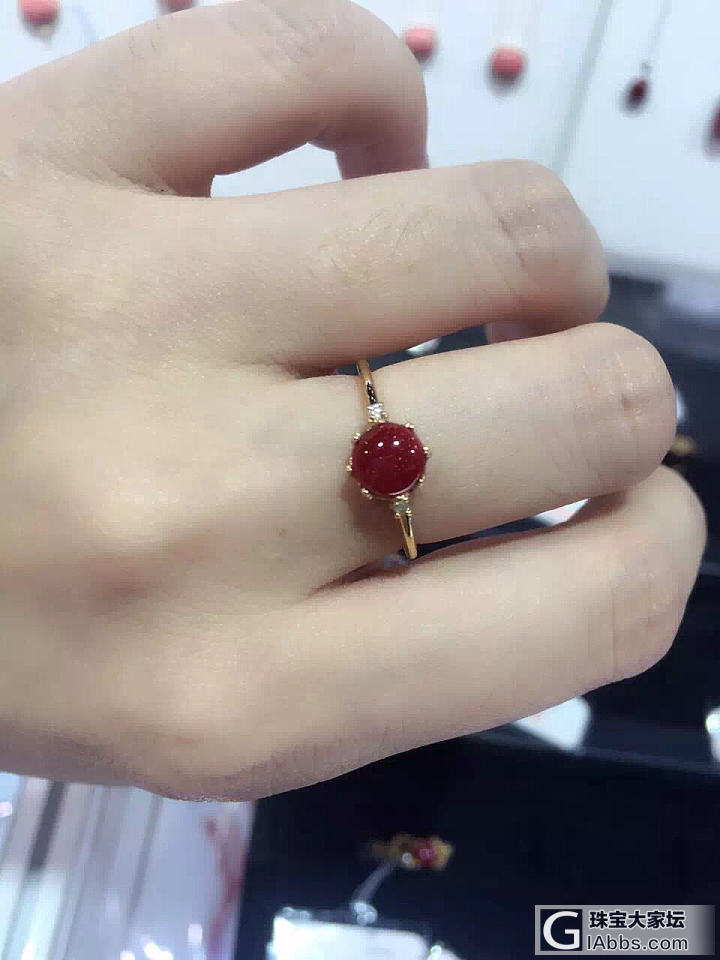 红珊瑚戒指也这么美_珊瑚展会戒指