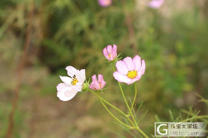 中秋节 继续带着家人周边游_旅游