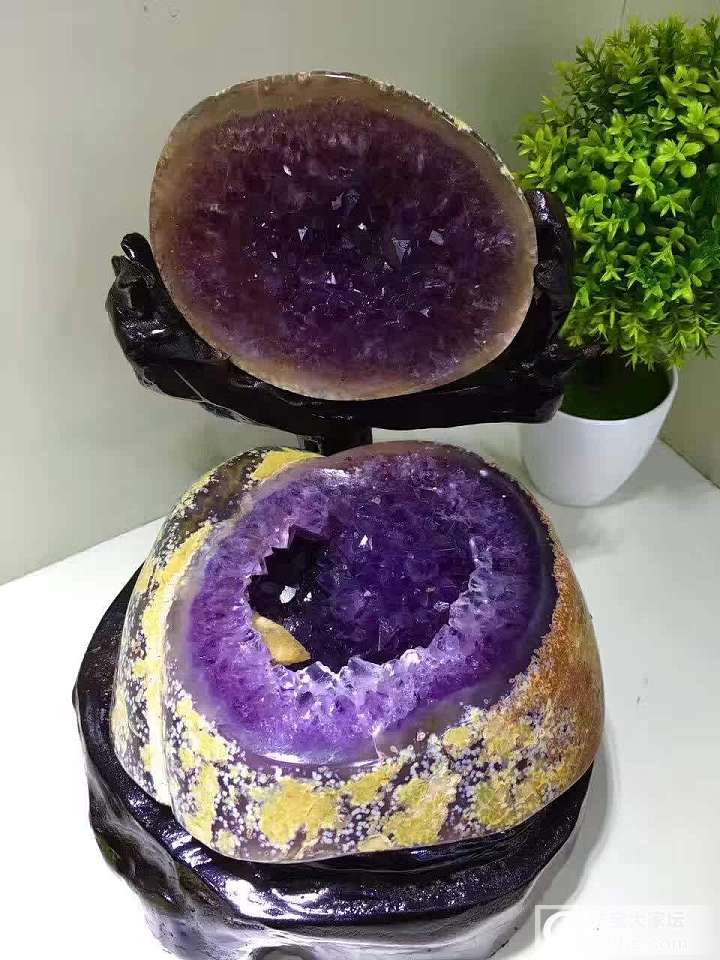 天然紫晶聚宝盆_紫水晶洞盆簇