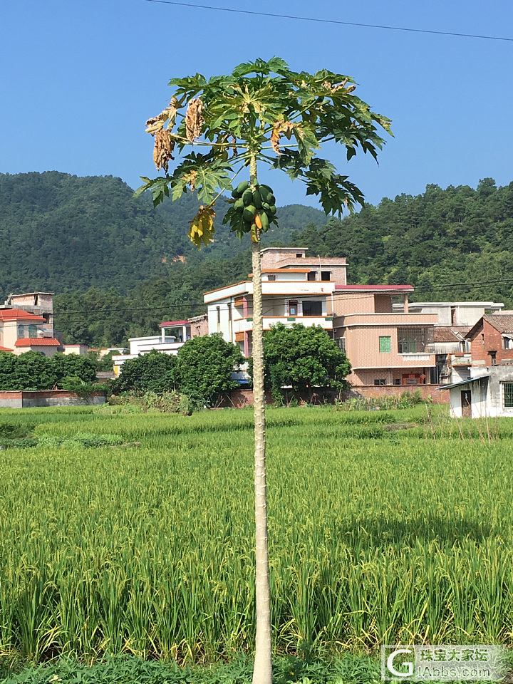 十一六祖寺游记贴_旅游