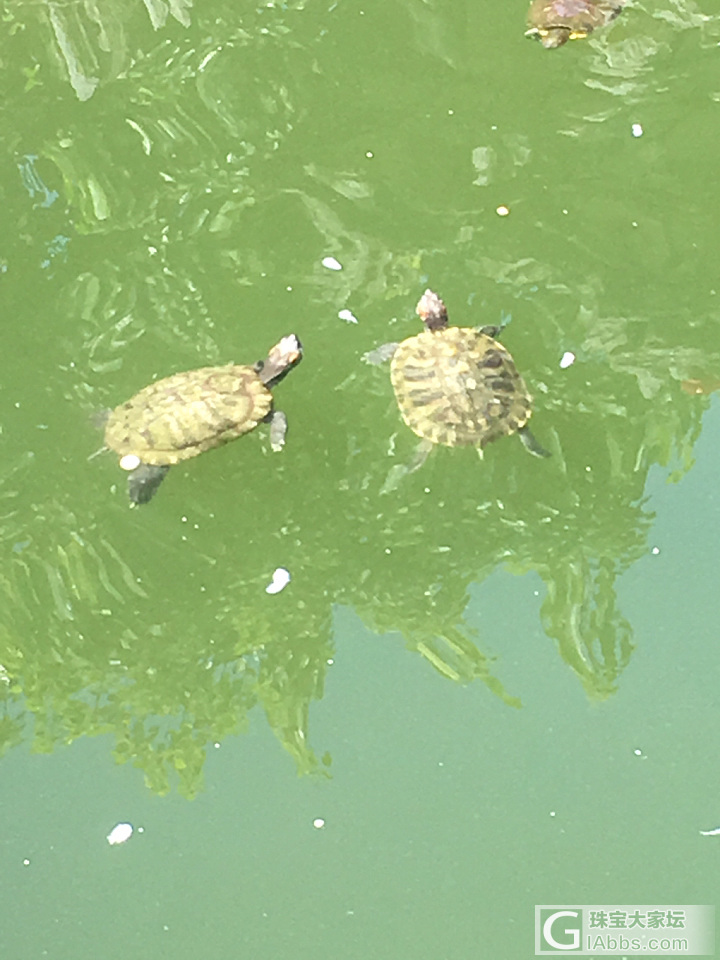 十一六祖寺游记贴_旅游