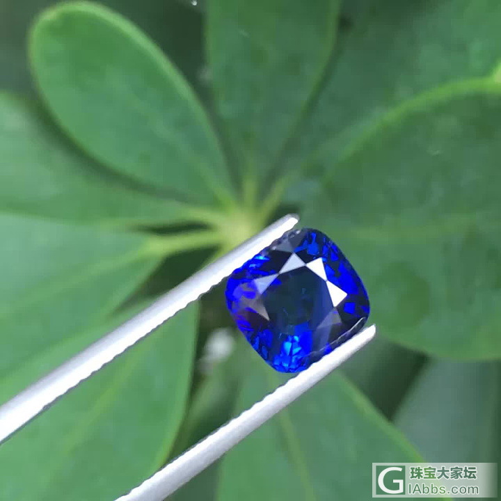 蓝宝石交流！矢车菊，皇家蓝的定义！微：xtgem168_刻面宝石蓝宝石