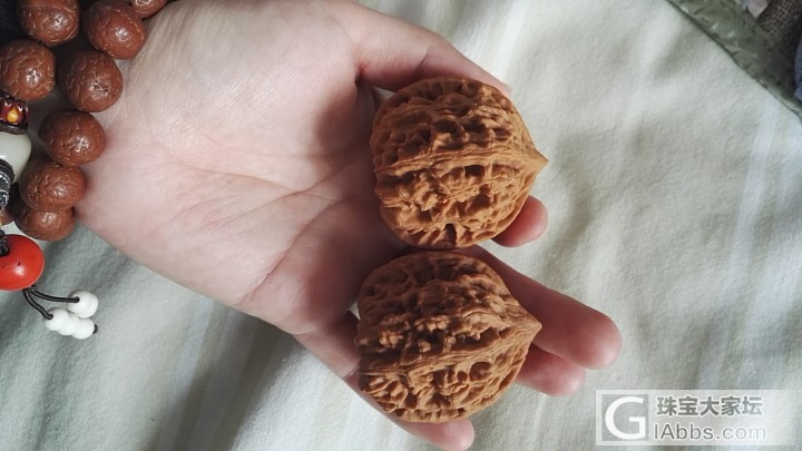 硌手大核桃到了_核桃