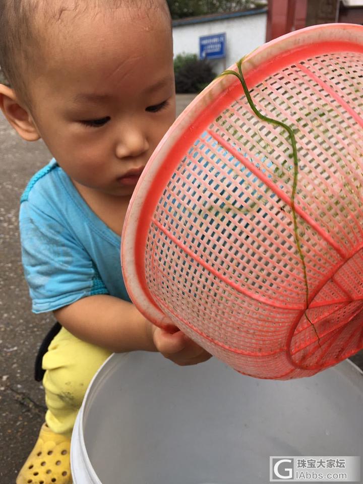 爪🐟了_育教亲子