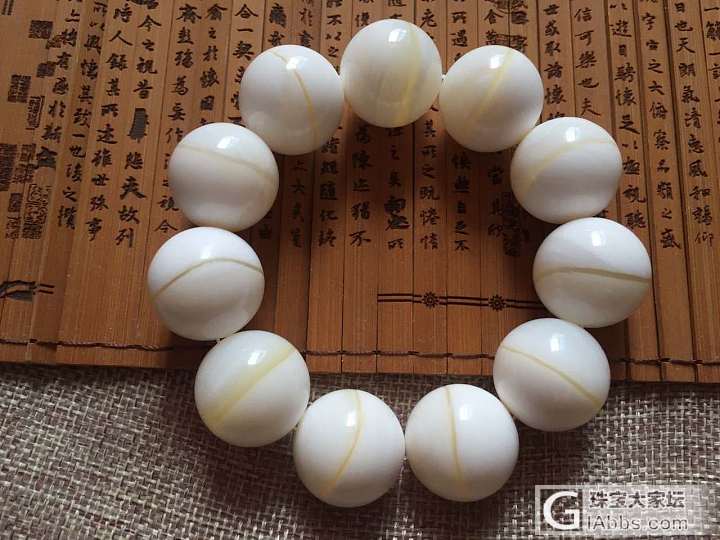 美美的砗磲_砗磲