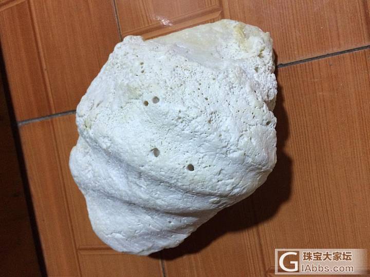 大家慧眼看看_砗磲原石