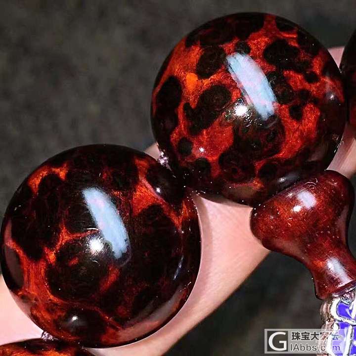 极品！千年树头留疤爆满_小叶紫檀