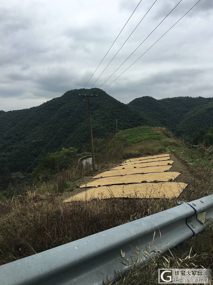 山里玩，与世隔绝没信号，现在传照片_坛友风采金