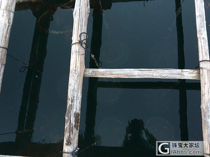 日本🇯🇵三重县志摩半島的英虞湾🗾Akoya珍珠养殖基地✨有我的自拍照_珍珠