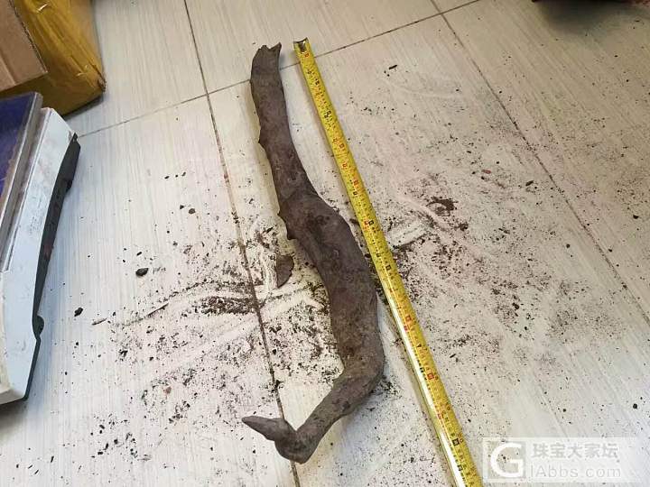 同料海黄紫油梨老料两节，想了好久，怎么开料啊_海南黄花梨